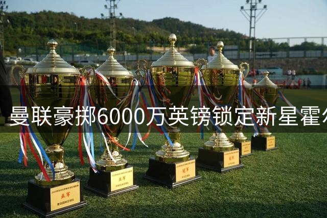 曼联豪掷6000万英镑锁定新星霍尔 接班肖已成定局